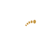 Professional Bunion Foot Treatment Doctor Logo